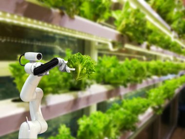 Akıllı robot çiftçilerin tarım fütüristik robot otomasyonu için sebze grubu