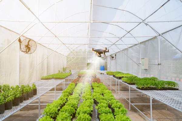 Aviones Tripulados Drone Para Agricultura Trabajo Automatizado Granja —  Fotos de Stock