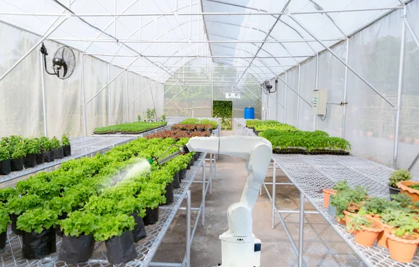 Los Agricultores Robóticos Inteligentes Cosechan Agricultura Automatización Futurista Robots Para —  Fotos de Stock