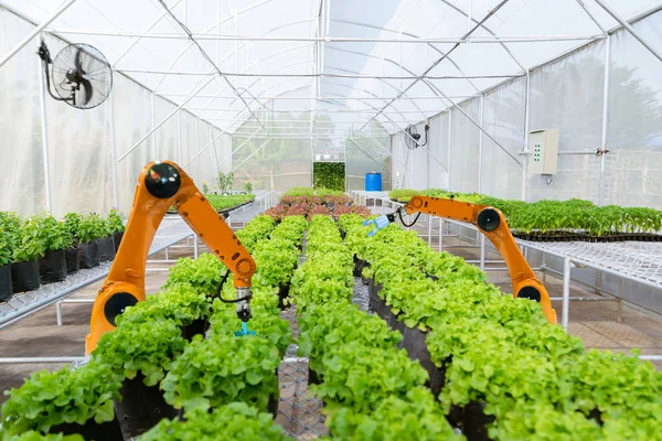 Los Agricultores Robóticos Inteligentes Cosechan Agricultura Automatización Futurista Robots Para —  Fotos de Stock