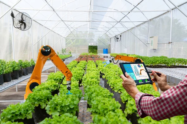Teknoloji artış verimliliği çalışmaya çiftçi tarım fütüristik robot otomasyon bir tablet akıllı robot hasat holding
