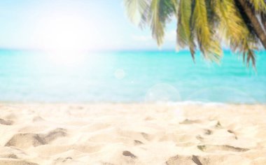 Plaj Hindistan cevizi ağacı ve tatil deniz temiz su yaz rahatlayın 