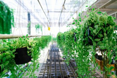 Ağaç evde bir doğa süs bitkileri çiftlik bırakır