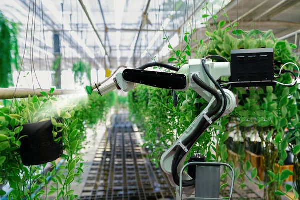 Tecnología Agrícola Automática Robot Brazo Regar Plantas Árbol —  Fotos de Stock