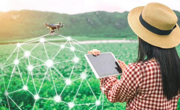 Tablet çiftçilerin elinde teknoloji drones tarım ürünleri kontrol etmek