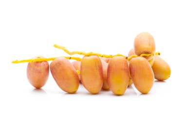 Taze hurmalıklar içinde,