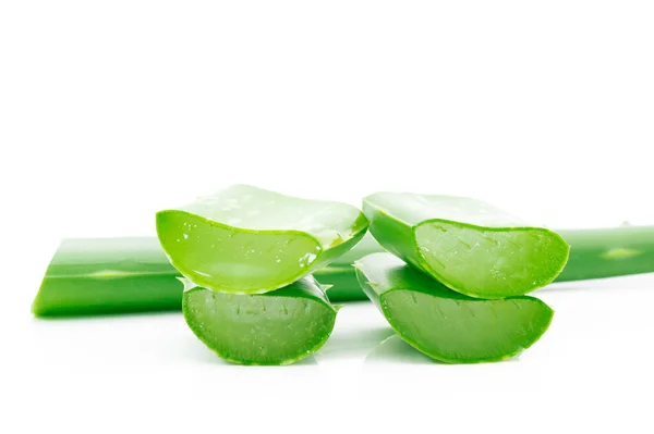 Aloe Vera Herbal White Background — Stock Photo, Image