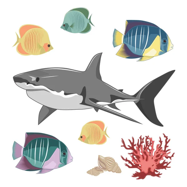 Ensemble Images Vectorielles Requin Avec Des Poissons — Image vectorielle