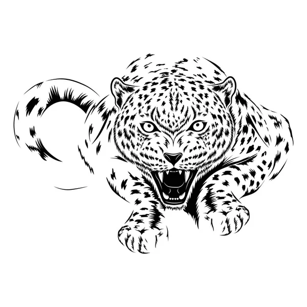 Vektorbild Eines Geparden Auf Weißem Hintergrund — Stockvektor