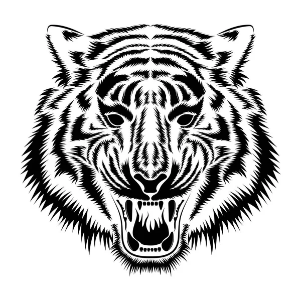 Imagen Vectorial Hocico Tigre — Vector de stock