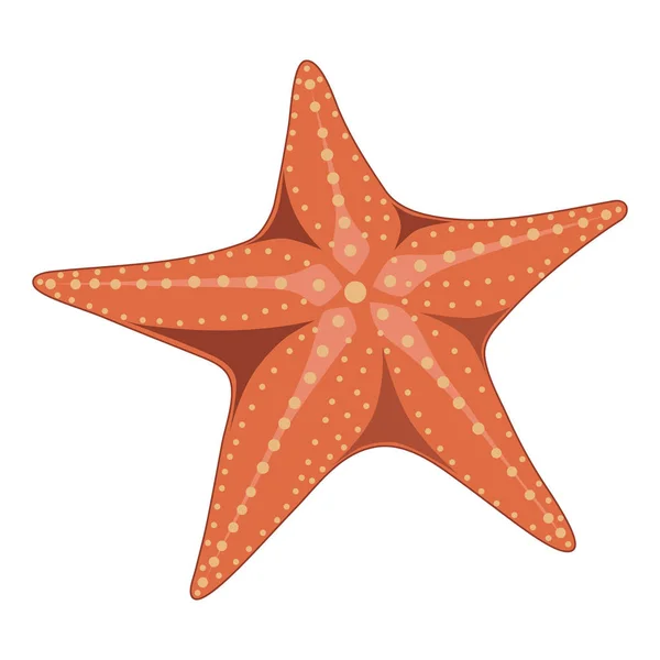 Векторное Изображение Морской Звезды Белом Фоне — стоковый вектор