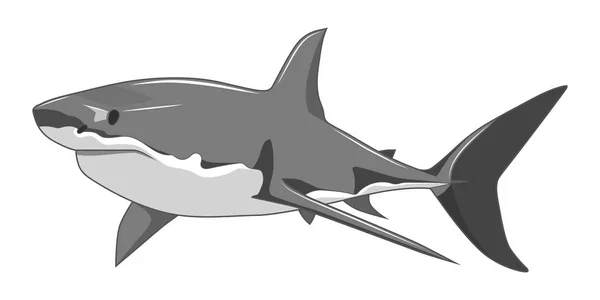 Image Vectorielle Requin Sur Fond Blanc — Image vectorielle