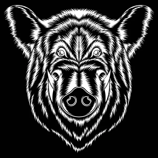 Vektorbild Des Weißen Wildschweins Auf Schwarzem Hintergrund — Stockvektor