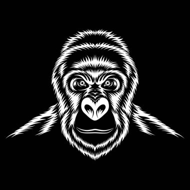 Siyah bir zemin üzerine beyaz goril vektör görüntü.