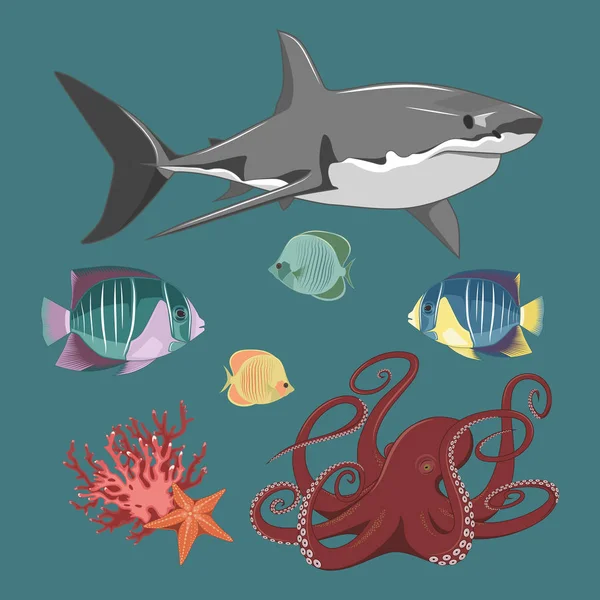 Reihe Von Vektorbildern Fische Kraken Haie Seesterne Korallen — Stockvektor