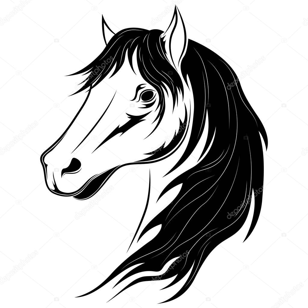 Vector image of a black horse on a white background.