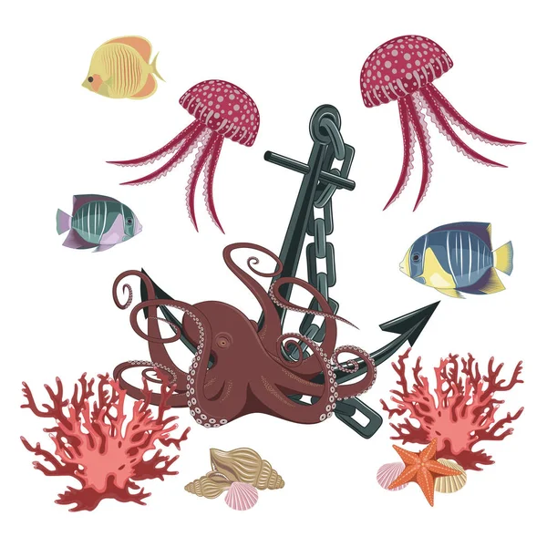 Vektorbilder Von Quallen Fischen Tintenfischen Korallen Muscheln Ankern Seesternen Auf — Stockvektor
