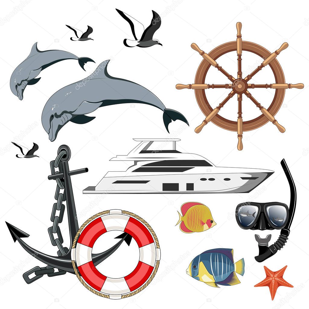 Set of vector images yacht, lifebuoy, ship steering wheel, dolphins, seagulls, fishes, diving mask and snorkel, sharks, starfish, anchor.