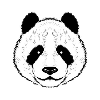 Bir vektör görüntü bir Panda. 