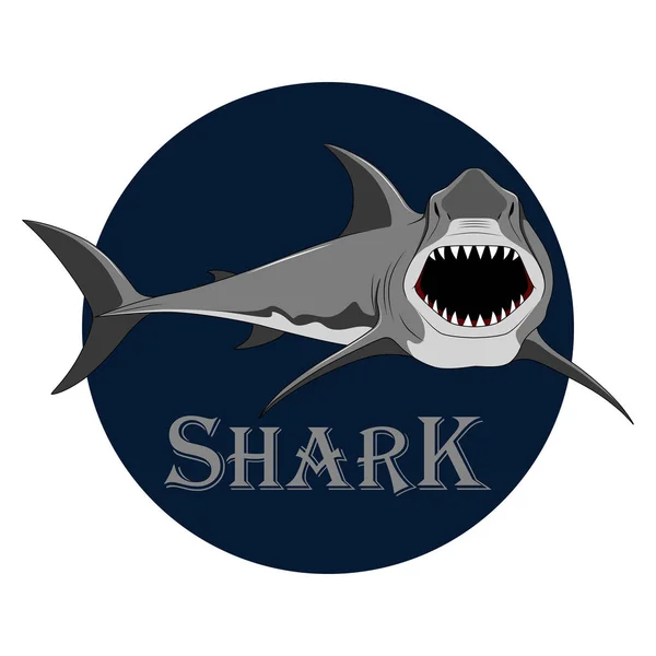 Image vectorielle d'un requin maléfique. Requin à bouche ouverte . — Image vectorielle