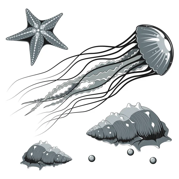 Conjunto Imágenes Vectoriales Medusas Estrellas Mar Conchas Marinas Perlas — Archivo Imágenes Vectoriales