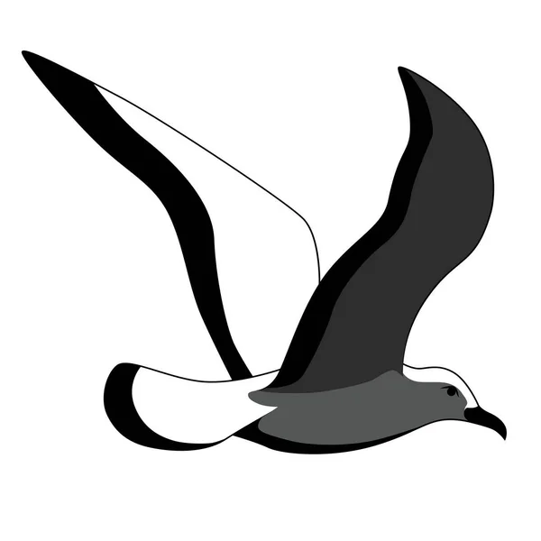 Imagen Vectorial Blanco Negro Una Gaviota Sobre Fondo Blanco — Vector de stock