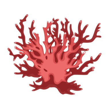 MercanVektör görüntü. Beyaz arka plandaki resim.