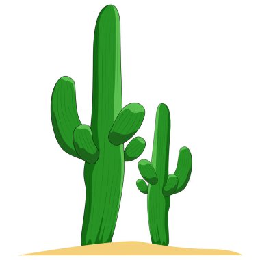 Beyaz arka plandaki kaktüslerin vektör görüntüsü.