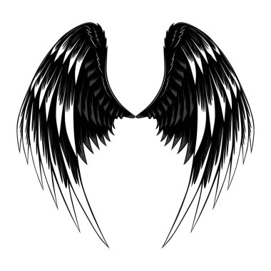 İki kanadın vektör görüntüsü. Beyaz arka plandaki resim.