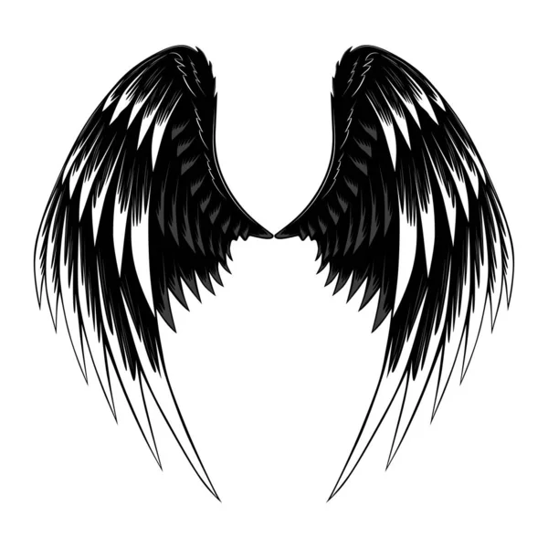 Vector Image Two Wings Image White Background — Stock Vector