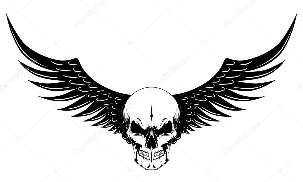 Skull with black wings. Vector image on white background.