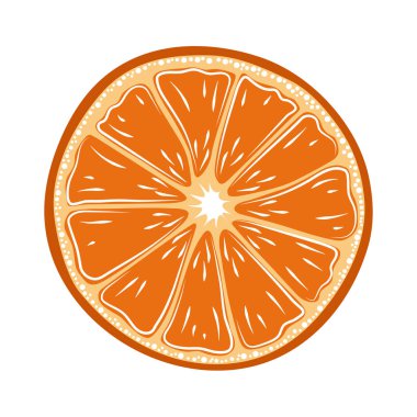 Bir portakalın vektör görüntüsü.