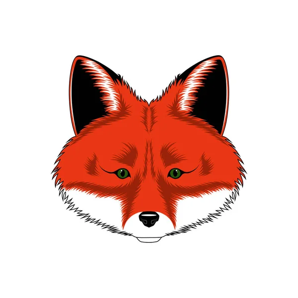 Vector Image Fox Image White Background — Stock Vector