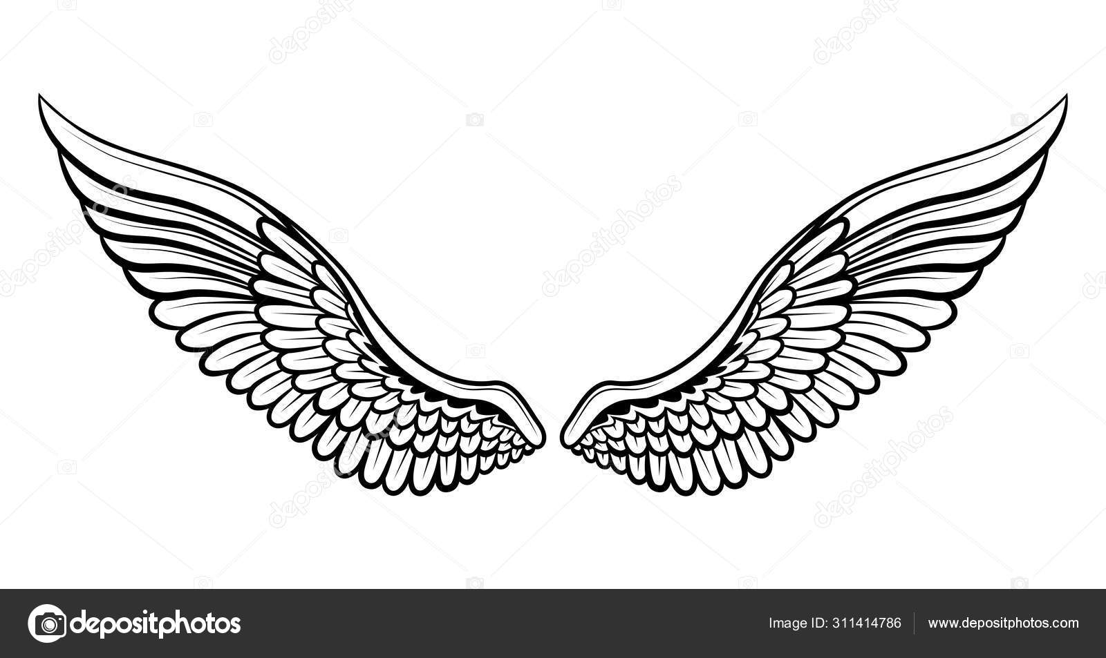 black wings on white background Stock Photo