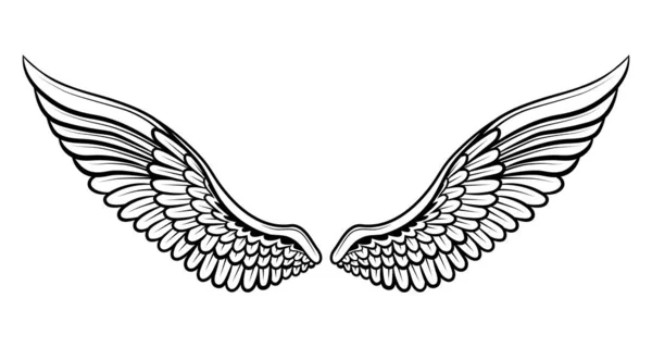 Vectorafbeelding Van Vleugels Een Witte Achtergrond — Stockvector