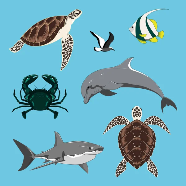 Vektorképek Gyűjteménye Delfin Teknősök Cápa Rák Sirály Hal — Stock Vector