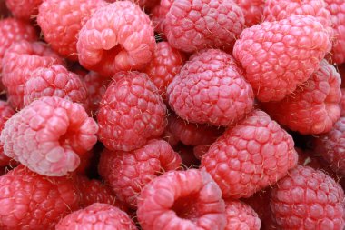 Ahududu arka plan, kırmızı meyveler