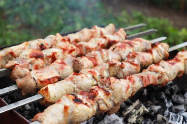 Barbekü et şiş bir kömür dumanı üzerinde ızgara