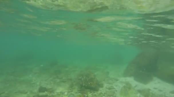 Unterwasserschiessen Land Zwischen Steinen — Stockvideo