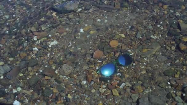 Blaue Sonnenbrillen Liegen Flussbett Und Reflektieren Die Sonne Kleine Fische — Stockvideo