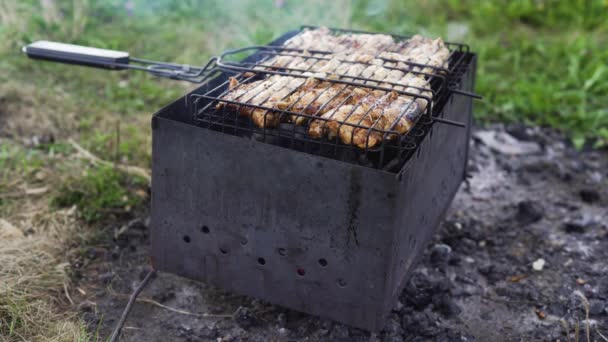 All Aperto Spiedino Fatto Pezzi Carne Verdura Shish Rubicondo Carboni — Video Stock