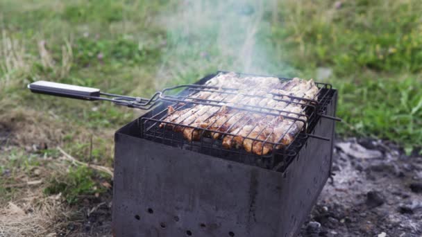 All Aperto Spiedino Fatto Pezzi Carne Verdura Shish Rubicondo Carboni — Video Stock