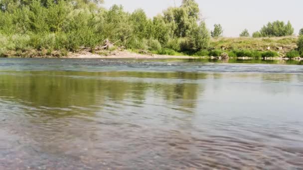 Ruidoso Río Montaña Rápida Fluye — Vídeo de stock