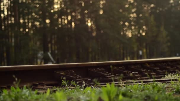 Old small railroad tracks. Train rails. 1. — Stock Video