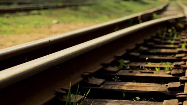 Railroad tracks. Depot wagons. Oude rails. 4. — Stockvideo
