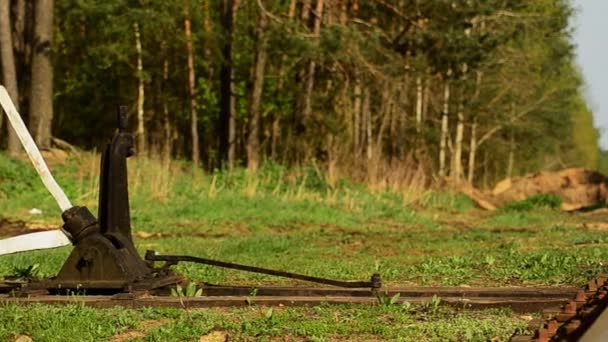 Voies ferrées. Chariots de dépôt. Vieux rails. 5 . — Video