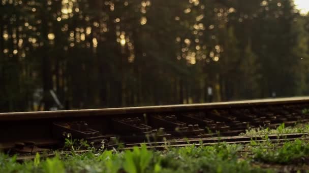 Railroad tracks. Close-up of the rails. 30 — Stock Video