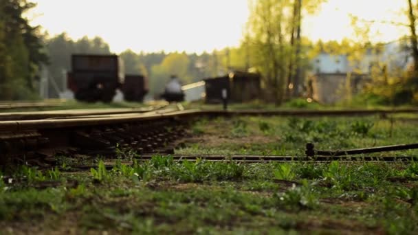 Railroad tracks. Arrow switch ways. 31 — Stock Video