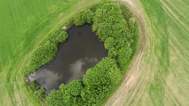 Маленьке озеро в полі. аерофотозйомка 43 — стокове відео