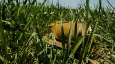 Eski kitap çim. Gereksiz kitap. 53